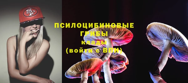индика Аркадак