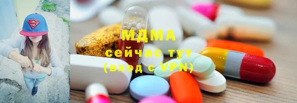 индика Аркадак