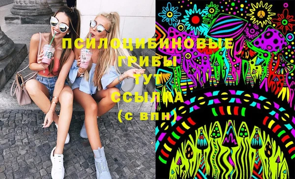 меф Арсеньев