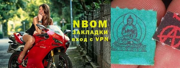 индика Аркадак