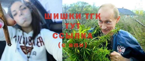 меф Арсеньев
