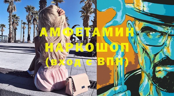 индика Аркадак