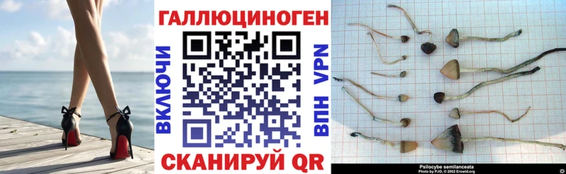 цена наркотик  Рославль  Псилоцибиновые грибы ЛСД 